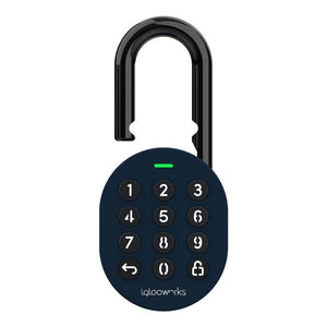 igloohome SP1E unlocked