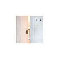 Schlage FE575 PLY
